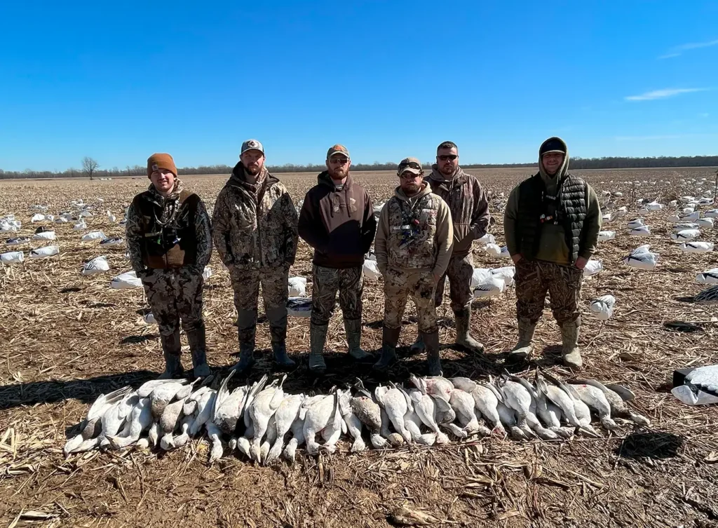 Snow Goose Hunts - Arkansas