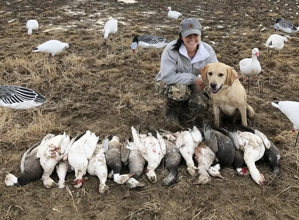 Female hunter and her yellow Labrador Retriever showing off their hunted snow geese - Guided Hunting in Illinois and Arkansas