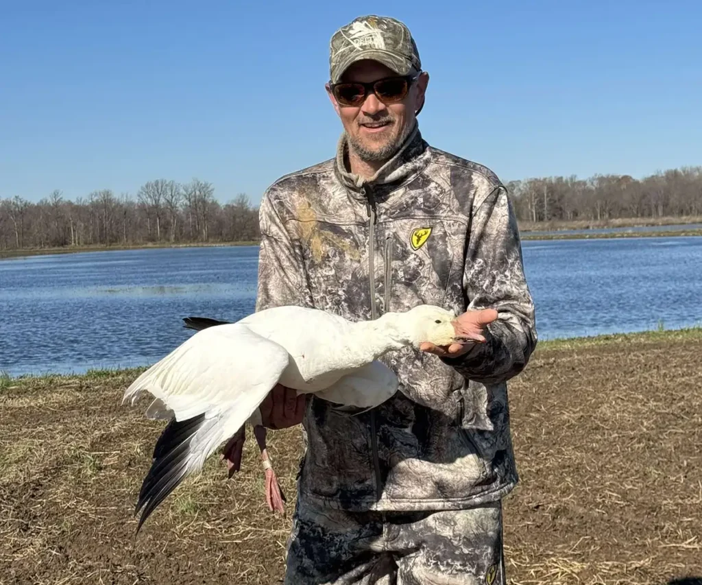 Spring snow goose hunting - Arkansas snow goose hunts - Illinois waterfowl conservation hunts