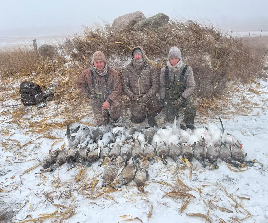 A group of hunters in camouflage gear posing with their harvested snow geese in an open field - guided Arkansas waterfowl hunting - guided Illinois snow geese hunts