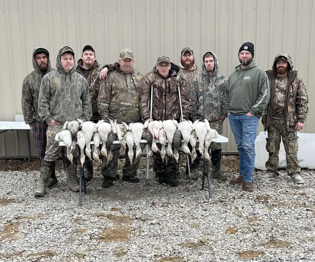 Snow goose conservation hunts - Snow goose population control