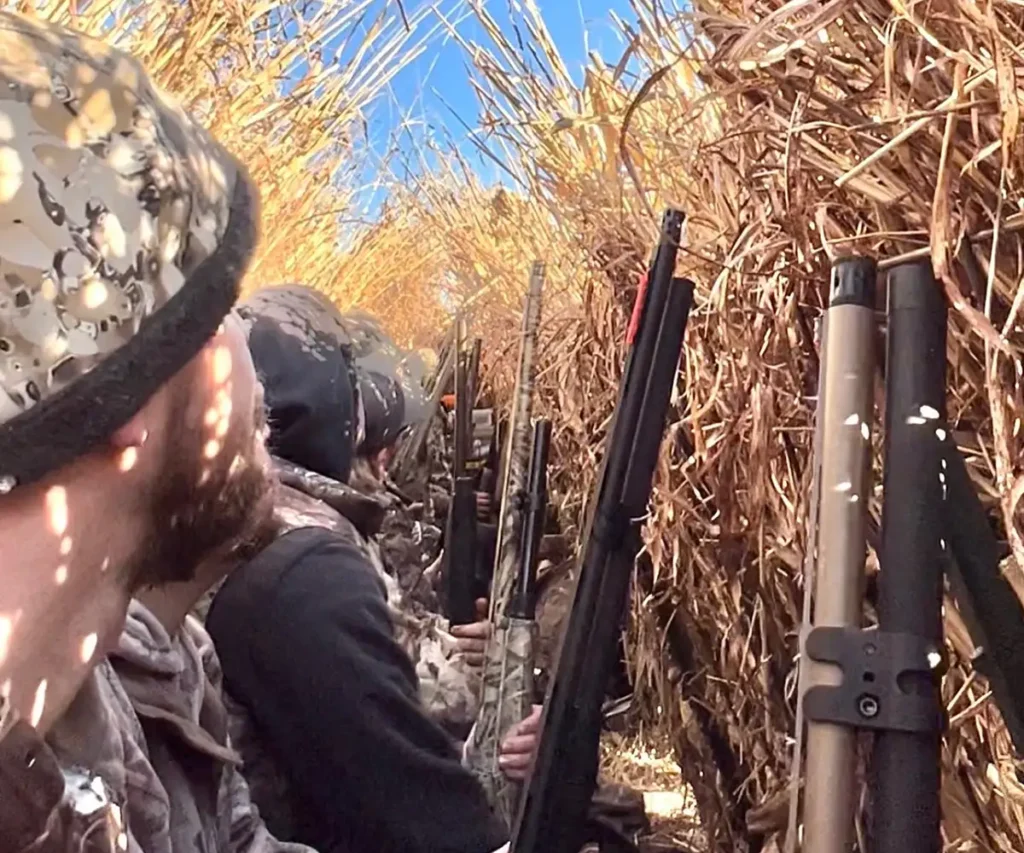 snow geese hunters hiding in blind - Snow goose hunts with guides