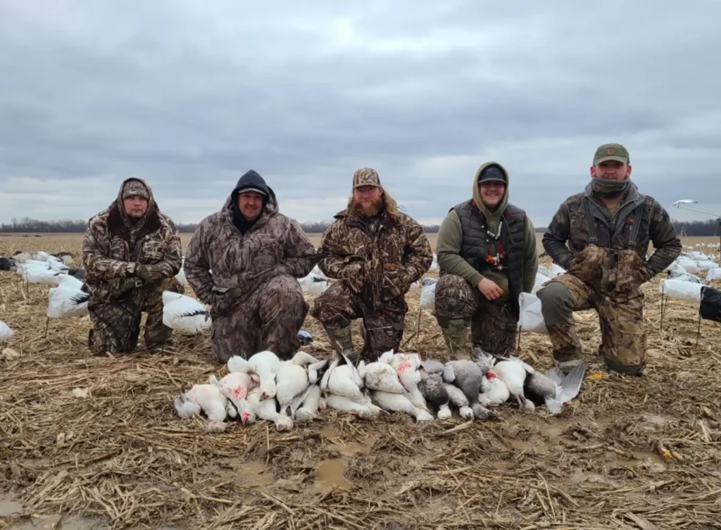 waterfowl hunting in illinois - snow goose hunts