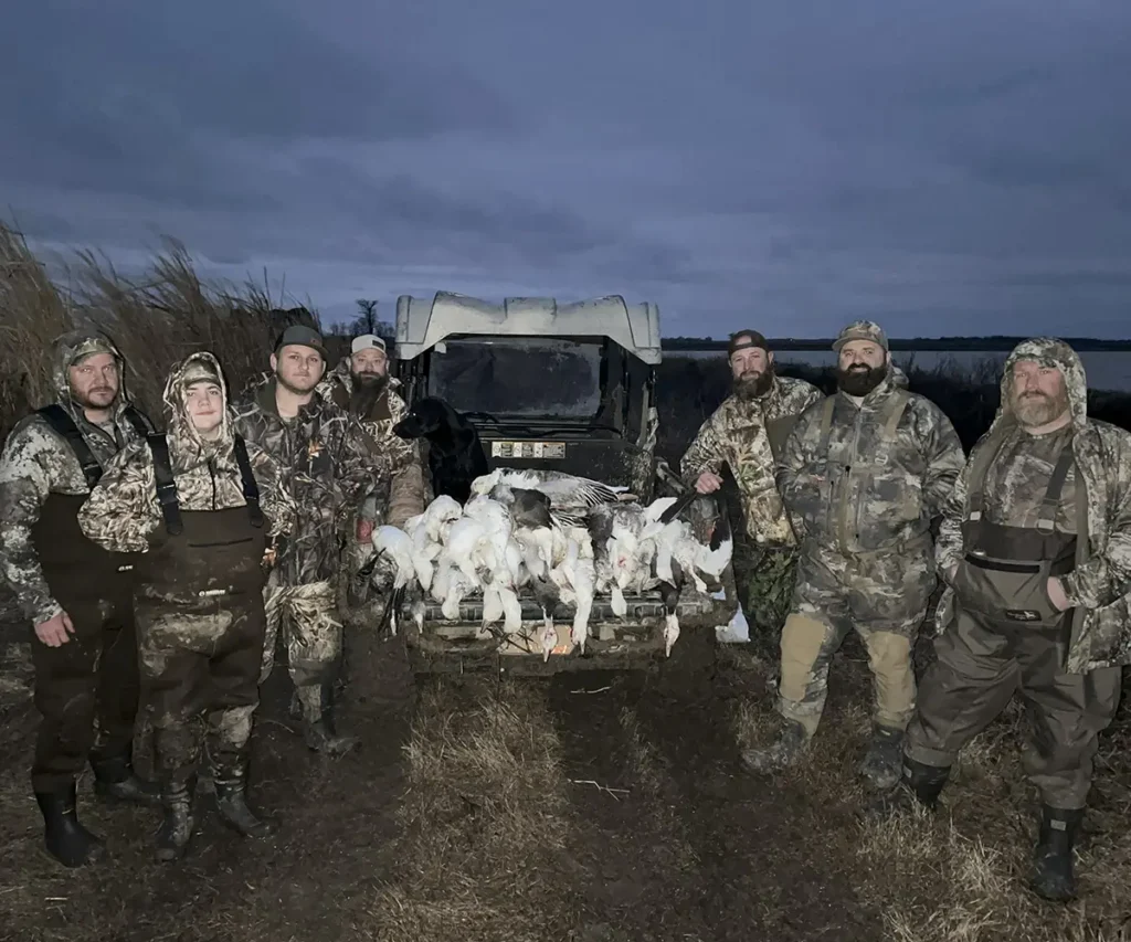 snow geese hunting